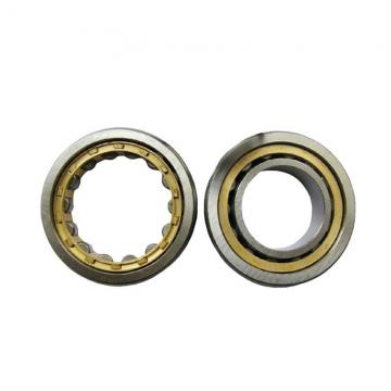 Toyana NF219 E cylindrical roller bearings